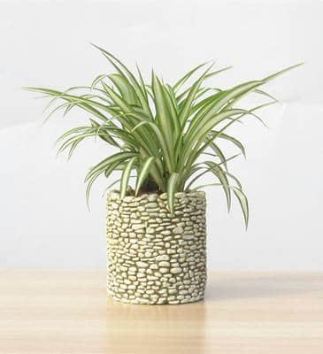 下雨天房屋总是有难闻的味道?